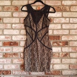 Lace bodycon dress